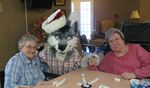  blue_eyes canine christmas dog dominoes elderly_abuse female fursuit grandma group hat holidays human husky male mammal nyappy old photo real santa_hat siberian smile television trio tv unknown_artist 