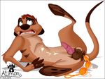  anal_beads anus atimon balls butt cum disney feral hindpaw male masturbation meerkat penis rule_34 sex_toy sheath solo tail the_lion_king timon wihte_background 