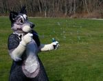  bubbles canine dog fursuit mammal matrice nature real solo tree trees unknown_artist wood 