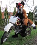  canine dirt_bike dirtbike fox fursuit hair looking_at_viewer male mammal real red_hair solo tree trees unknown_artist wood 