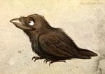 2010 ambiguous_gender avian beak bird black culpeofox feral raven solo tail talons wings 