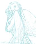  avian barn_owl beak breasts claws feathers female nipples owl sefeiren side_boob sketch tail wings 