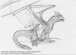 black_and_white cum draco dragon dragonheart feral male masturbation monochrome penis scalie solo strecno wings 