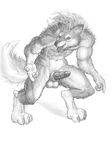  arjuna balls big_balls buff canine erection greyscale male mammal monochrome muscles penis pinup pose sheath sketch solo were werewolf wolf 