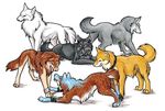  black blue brown canine collar feral grey group hige kiba light_brown male nutmeg tail toboe tongue tsume white wild_spirit_wolf wolf wolf&#039;s_rain 