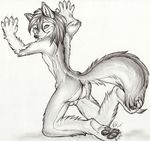  butt canine girly kwik male red_wolf sangie sheath sketch solo tail teasing wolf 