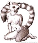  2005 breasts female kneeling lemur nude selderaya solo 
