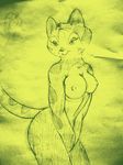  breasts cat feline female kung_fu_panda mammal mei_ling nipples nude solo south_chinese_mountain_cat unknown_artist 