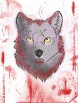  blood canine chance_wulfe chaoswerewolf portrait solo wolf 
