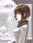  brown_hair brunette female girl jacket jeffr profile scarf sideways smile snow 