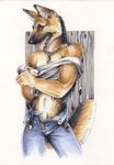  2006 canine dog german_shepherd heather_bruton jeans male necklace sheath solo tail teeth undressing 