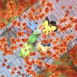  ????? brown_eyes chikorita cyndaquil denchi_nezumi eyes_closed feral leaf nintendo pichu pok&#233;mon pok&eacute;mon red_eyes totodile video_games 