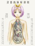  anatomy hairband hiiragi_tsukasa leica lucky_star parody purple_hair short_hair solo yellow_hairband 