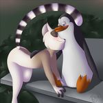  bent_over blue_eyes blush bush cute eyes_closed gay half-closed_eyes king_julien kowalski lemur love madagascar male penguin ringtail sitting tsuyagami 