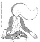  anus breasts chest_tuft digitigrade ear_piercing earring female fur greyscale hair looking_at_viewer mammal monochrome nipples nude onyx onyx_(jmh) open_mouth piercing plain_background pussy reynard_fox shoulder_stand skunk solo tail tuft white_background white_hair 