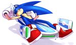  hedgehog male mammal mtrap penis peritian plain_background sega solo sonic_(series) sonic_riders sonic_team sonic_the_hedgehog white_background 