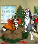  anthro blue_eyes bow_tie canine chest_tuft christmas christmas_lights christmas_tree color cookie cookies couple duo fox fur gift green_eyes hat holidays kenovawolf male mammal milk mountainafox nightfell santa_hat smile snow surprise tattoo tree tuft wolf wood xmas 