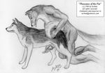  1996 animal anthro anthro_bestiality asikaa canine dog feral gay husky interspecies male penis tongue vintage wolf 