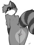  ajin anus black_eyes breasts color edit female looking_at_viewer looking_over_shoulder nude pussy raccoon raised_tail side_boob sketch solo tail 