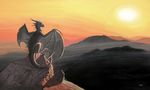  dawn dragon feral grey morning myenia solo wings 
