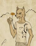  canine cel_shading clothing fingers flat_colors flower hands imiak lean leaning male mammal mountain open_jaw open_mouth pants shirt skinny slender slim solo t-shirt teeth texture thin wolf 