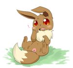  eevee pokemon tagme 