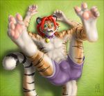  bulge collar feline hindpaw joshua male mammal pawpads paws soles solo tiger toes topless zen 