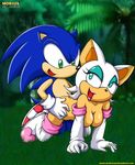  bat breasts doggy_position female forest hedgehog lipstick male mobius_unleashed nude penetration rouge_the_bat sex sonic_(series) sonic_the_hedgehog straight tree 