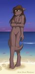  anthro beach blush breach breasts brown brown_hair canine chest_tuft female hair heterochromia keidran long_hair natani_(twokinds) nude pussy sand seaside solo tail tom_fischbach twokinds water wolf 