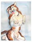  beg begging_pose canine collar dog heterochromia husky mammal mulefoot piercing sheath solo ssirrus tongue 