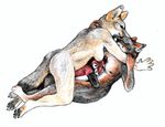  amagire breasts canine cuddle eyes_closed female fox grey_fox kit_fox lesbian nude on_back plushie plushophilia 
