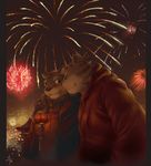  coat couple feline fireworks hug male mammal night nuzzle outside tiger 