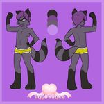  butt cute cutesauce feminine girly hair kennis male raccoon short_hair solo standing tail wide_hips 