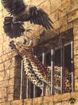  2010 avian bird blotch crow feline key leopard male prison 