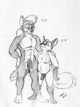  canine fox male michael_higgs muscles penis size_difference sooniecher wolf 