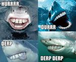  amazing derp fish great_white_shark humor marine photoshop shark teeth unknown_artist 