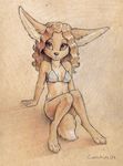  2009 big_ears bikini black_nose brown_eyes brown_hair canine claws clothed coonkun cub female fennec fox hair long_brown_hair long_hair navel sitting skimpy smile solo tail 