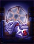  0r0ch1 bed book cat feline male night rain sleeping solo window 