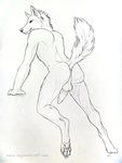  anus balls black_and_white butt canine male mammal monochrome mooning myenia nude penis presenting presenting_hindquarters raised_tail sketch solo tail wolf 