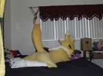  canine cosplay cute digimon female fox fursuit mammal outfit real renamon unknown_artist vixen 