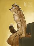  balls blue_eyes male nude sheath solo tail tsaiwolf 