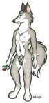  1995 canine coyote lance_rund male nude sheath solo standing 