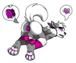  &hearts; anal anthro anus balls bdsm blush bondage bound butt buttplug canine dog gorfy gorfy_(character) hindpaw husky male mammal muzz paws penis plain_background presenting presenting_hindquarters raised_tail sex_toy solo tail toy white_background 