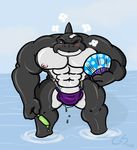  blue_eyes blush bulge cetacean fins grin gs looking_at_viewer male marine muscles orca skimpy solo speedo standing underwear wink 