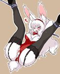  &hearts; after_sex bdsm blush bondage cum cum_inside female lagomorph presenting rabbit rope solo stockings wkar 