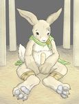  bandage blueballs erection lagomorph male paws penis rabbit scar solo yellow_eyes 