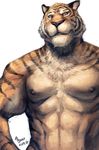  feline male muscles nick300 nude solo tiger 