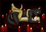  candle canine cat eddiew ellandra_goldstone faolan feline female male romantic rose_petals straight wolf 