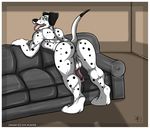 aaron anthro anus balls bent_over big_butt butt canine dalmatian derp dog inside male mammal mooning muscles nude penis pose presenting presenting_hindquarters raised_tail sofa solo tail 