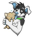  &hearts; :3 anthro blue_eyes border_collie canine cat collar couple cute dog feline feral keihound mutt muzz_(character) 